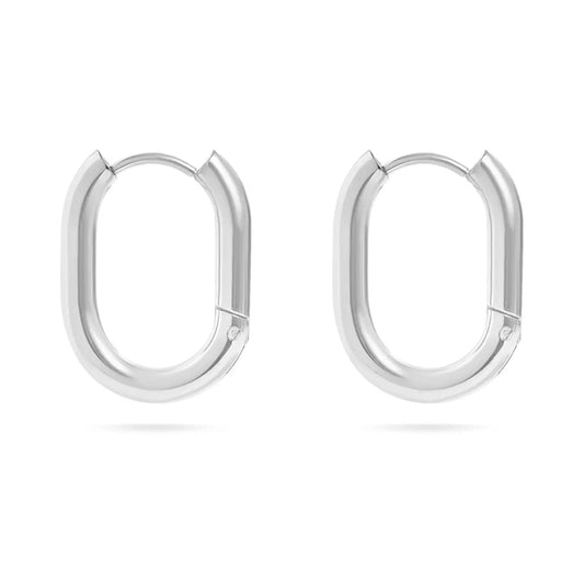 18K Gold Pvd Stainless Steel Oval Huggie Earrings