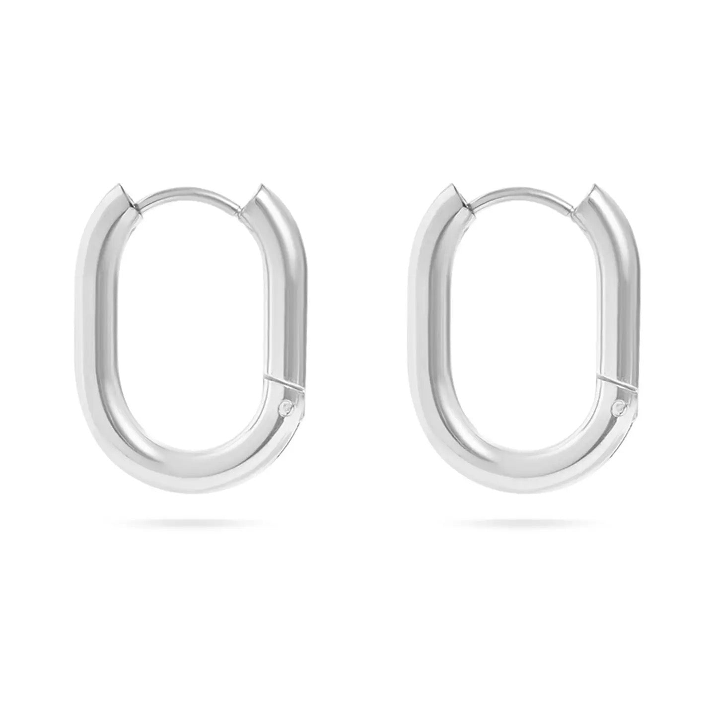 18K Gold Pvd Stainless Steel Oval Huggie Earrings