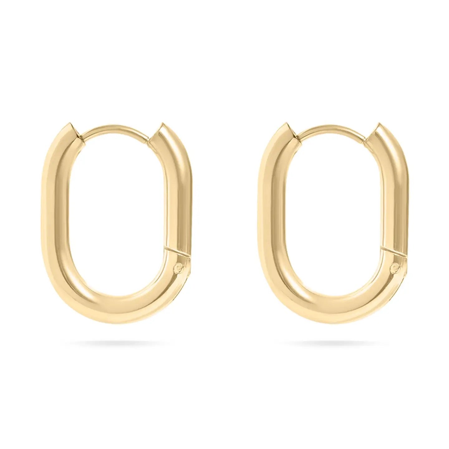 18K Gold Pvd Stainless Steel Oval Huggie Earrings
